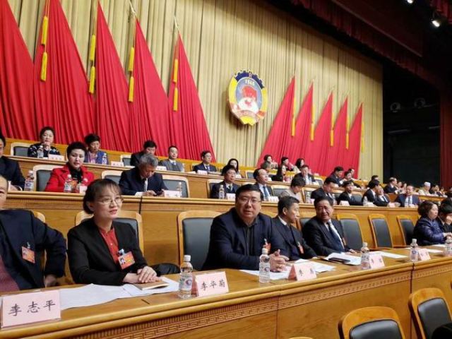 Chairman Li YongAttendedthe Second Session of the 12th CPPCC Conference of Heilongjiang Provinceand Won the Excellent Proposal Award